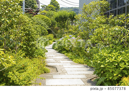 大巧寺 大巧寺 85077378
