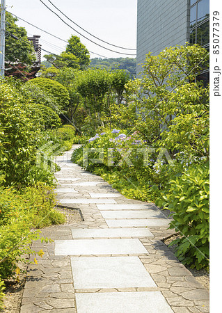 大巧寺 大巧寺 85077379