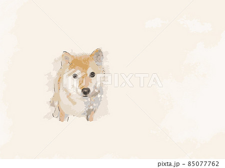 柴犬 水彩1.eps 柴犬 水彩1.eps 85077762