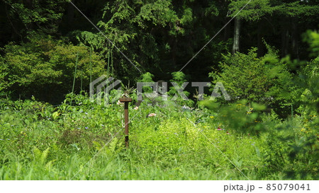万治の石仏 万治の石仏 85079041