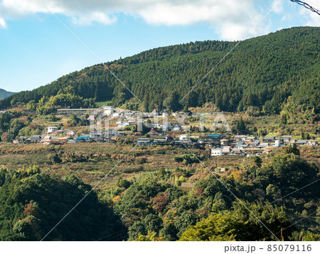 オレンジ色が美しい！ 秋の和歌山県 くしがきの郷 85079116