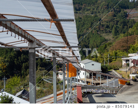 オレンジ色が美しい！ 秋の和歌山県 くしがきの郷 85079143