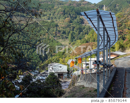 オレンジ色が美しい！ 秋の和歌山県 くしがきの郷 85079144