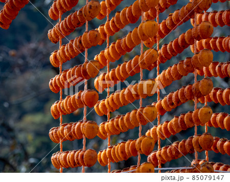 オレンジ色が美しい！ 秋の和歌山県 くしがきの郷 85079147