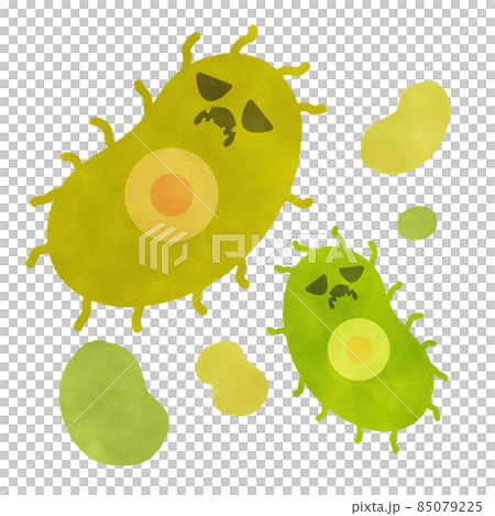 Bai fungus illustration material 85079225