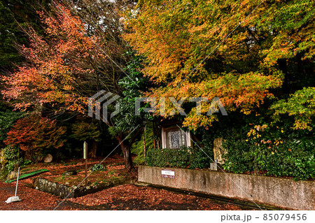 金沢の大乗寺の晩秋 85079456