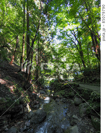 周囲300度を岩で囲まれた洞窟の中の滝つぼ 文蔵の滝 85079790