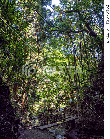 周囲300度を岩で囲まれた洞窟の中の滝つぼ 文蔵の滝 85079802