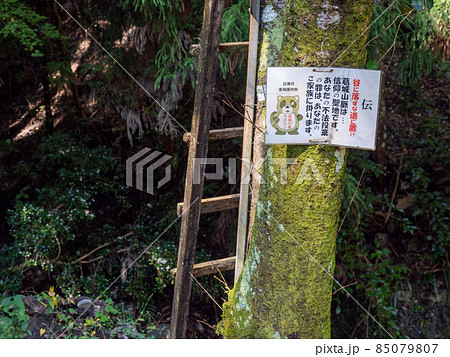 周囲300度を岩で囲まれた洞窟の中の滝つぼ 文蔵の滝 周囲300度を岩で囲まれた洞窟の中の滝つぼ 文蔵の滝 85079807