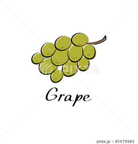 Grape vector cartoon flat illustration. Vine bunch. Fresh berry fruit and vegetable logo Grape vector cartoon flat illustration. Vine bunch. Fresh berry fruit and vegetable logo 85079983