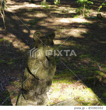 日本で最も美しい村 85080302