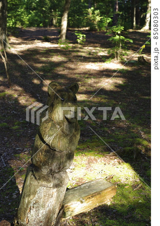 日本で最も美しい村 85080303