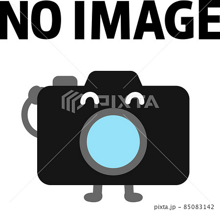 NO IMAGEの文字とカメラのキャラクター 85083142