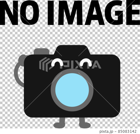 NO IMAGEの文字とカメラのキャラクター 85083142