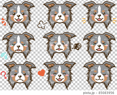 Border Collie (Blue Merle) facial expression face icon Border Collie (Blue Merle) facial expression face icon 85083956