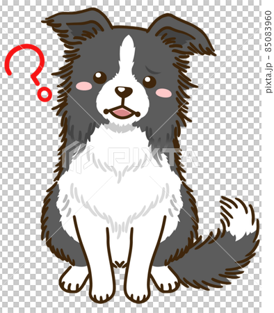 邊境牧羊犬(黑白) 邊境牧羊犬(黑白) 85083960