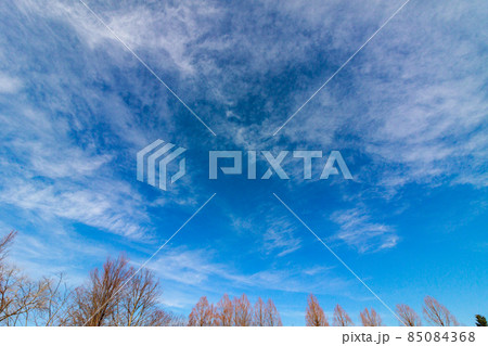 青空 85084368