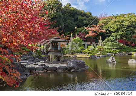 【東京都】旧古河庭園（日本庭園の紅葉） 85084514