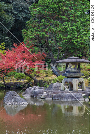 【東京都】旧古河庭園（日本庭園の紅葉） 85084524