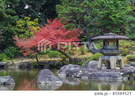 【東京都】旧古河庭園（日本庭園の紅葉） 85084525