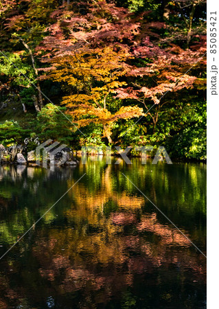 紅葉の兼六園 紅葉の兼六園 85085421