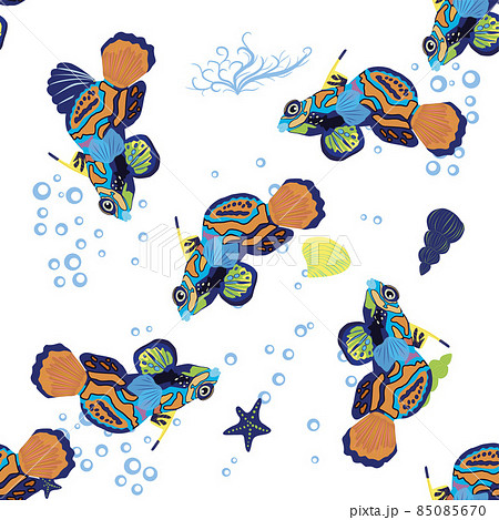 Mandarin fish seamless patterns. beautiful character among seashells, seaweed, starfish, sea animal wildlife character. Nature underwater, marine wild ocean zoo fish 85085670