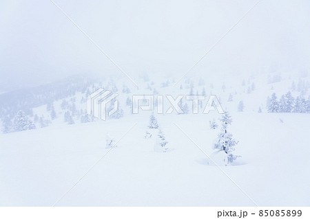 樹氷 八甲田 樹氷 八甲田 85085899