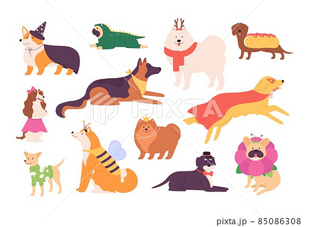 Cartoon funny breed dogs dressed in cute masquerade clothes. Superhero dog. Pet puppy characters in fashion costumes, bow and hat vector set 85086308