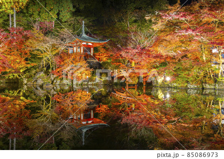 ライトアップされた秋の弁天堂 85086973