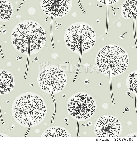 Airy, fluffy, light dandelions with flying cloud of seeds in wind in vector 85086980