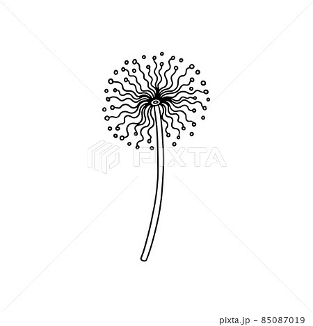 Black dandelion with seeds in abstract style vector illustration isolated 85087019