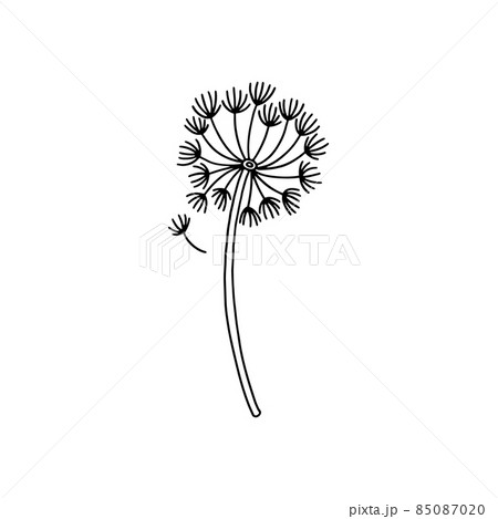 Dandelion weed flower black contour vector illustration. Simple doodle spring meadow flower. Dandelion weed flower black contour vector illustration. Simple doodle spring meadow flower. 85087020