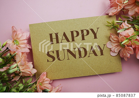 Happy Sunday typography text with flowers on pink background Happy Sunday typography text with flowers on pink background 85087837