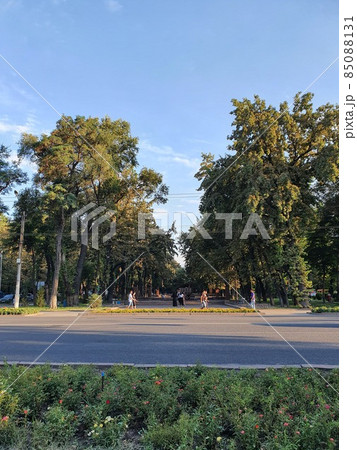 ビシュケクの公園の眺め 85088131