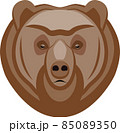 A Brown bear head close-up. 85089350