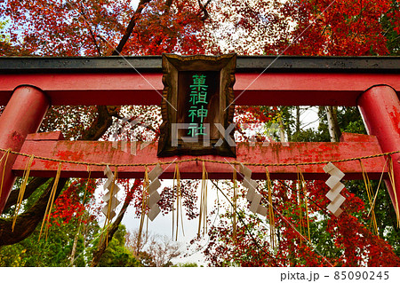 吉田神社の菓祖神社(京都市左京区) 吉田神社の菓祖神社(京都市左京区) 85090245