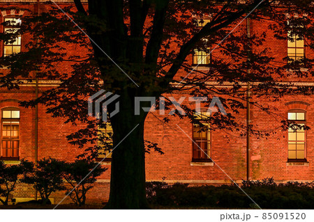 石川四高記念文化交流館の秋 石川四高記念文化交流館の秋 85091520