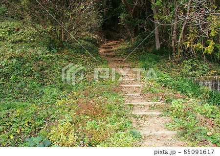 小倉城跡(武蔵国)、城跡遊歩道入口【埼玉県ときがわ町】 小倉城跡(武蔵国)、城跡遊歩道入口【埼玉県ときがわ町】 85091617