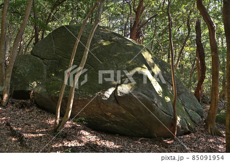 九千部山登山「登山道脇の巨岩」 85091954