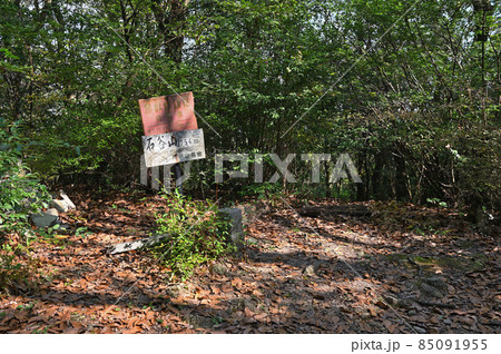 九千部山登山「石谷山山頂」 九千部山登山「石谷山山頂」 85091955