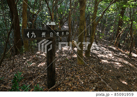 九千部山登山「九州自然歩道」 九千部山登山「九州自然歩道」 85091959