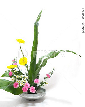 生け花の作品 85092169