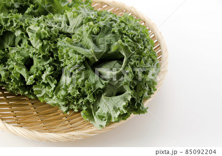 ケール ケール 85092204