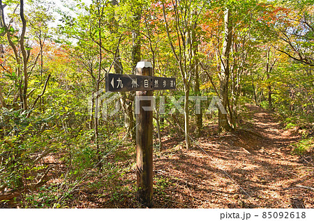 九千部山登山「九州自然歩道」 85092618
