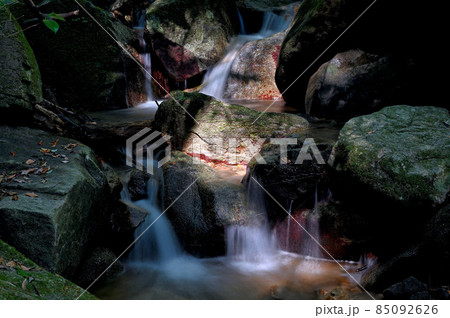 九千部山登山「登山道沿いの沢」 九千部山登山「登山道沿いの沢」 85092626