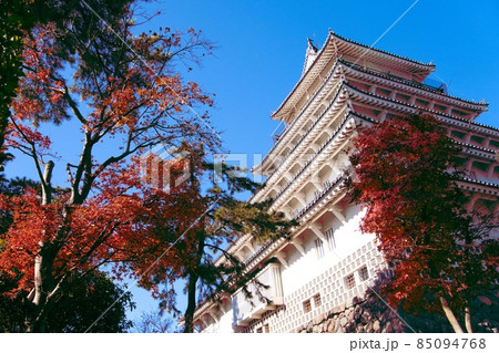 紅葉のモミジの木から見上げる島原城本丸2 85094768