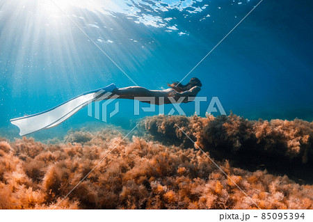 Free diver girl glides with freediving fins and sea bottom with seaweed. Freediving with woman and beautiful sun light in ocean Free diver girl glides with freediving fins and sea bottom with seaweed. Freediving with woman and beautiful sun light in ocean 85095394