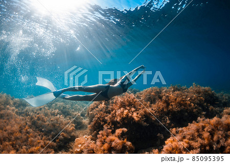 Free diver girl glides with freediving fins and sea bottom with seaweed. Freediving with woman and sunlight in blue ocean Free diver girl glides with freediving fins and sea bottom with seaweed. Freediving with woman and sunlight in blue ocean 85095395