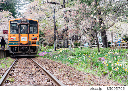 芦野公園駅 津軽線 ワンマン電車 春 桜 芦野公園駅 津軽線 ワンマン電車 春 桜 85095706