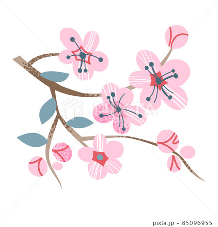 Japanese sakura, cherry tree branch with blooming flowers in Japan, cute pink blossoms Japanese sakura, cherry tree branch with blooming flowers in Japan, cute pink blossoms 85096955